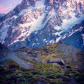 Mount K2 (8,611m) – 2014 Climbing Experience